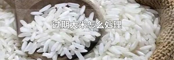 过期大米怎么处理