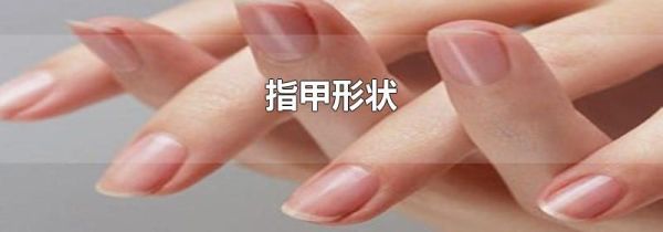 指甲形状