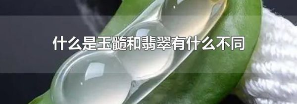 什么是玉髓和翡翠有什么不同