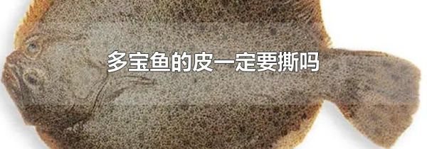 多宝鱼的皮一定要撕吗
