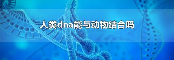 人类dna能与动物结合吗