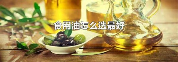 食用油怎么选最好