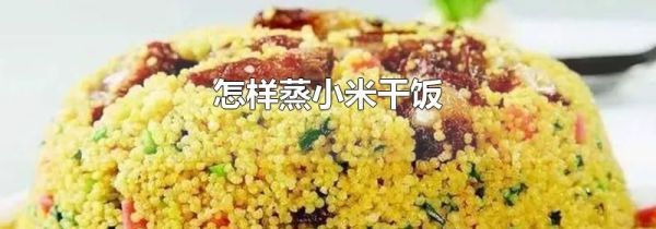 怎样蒸小米干饭