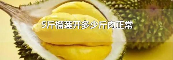 5斤榴莲开多少斤肉正常
