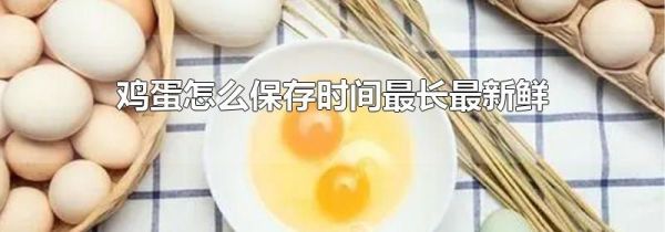 鸡蛋怎么保存时间最长最新鲜