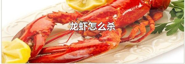 龙虾怎么杀