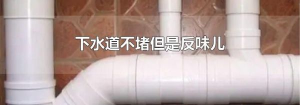 下水道不堵但是反味儿