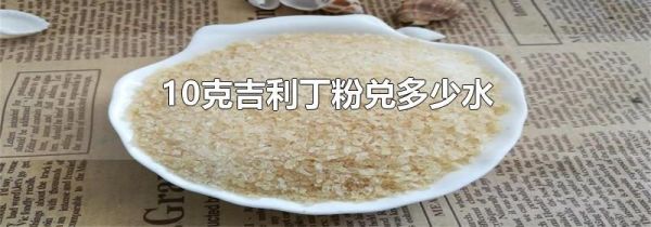 10克吉利丁粉兑多少水