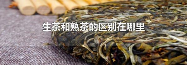 生茶和熟茶的区别在哪里