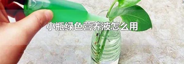 小瓶绿色营养液怎么用