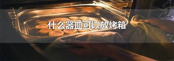 什么器皿可以放烤箱