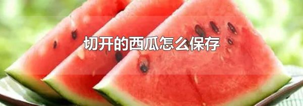 切开的西瓜怎么保存