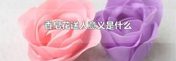 香皂花送人意义是什么