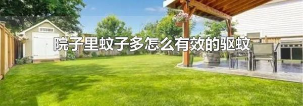 院子里蚊子多怎么有效的驱蚊