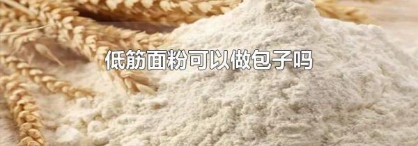 低筋面粉可以做包子吗