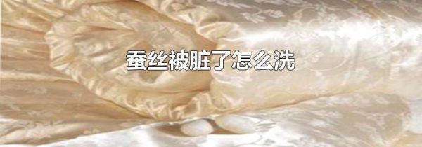 蚕丝被脏了怎么洗