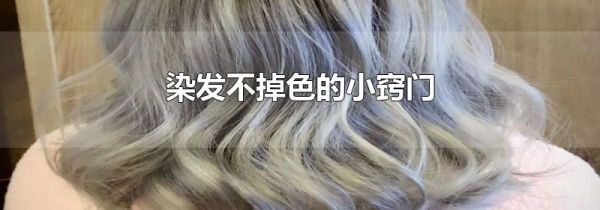 染发不掉色的小窍门