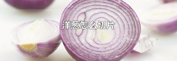 洋葱怎么切片