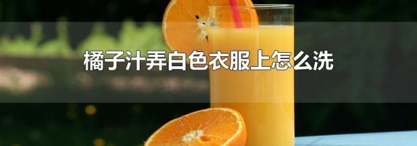 橘子汁弄白色衣服上怎么洗
