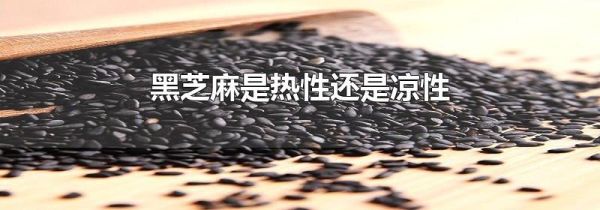 黑芝麻是热性还是凉性