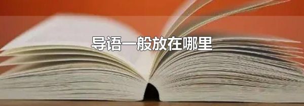 导语一般放在哪里