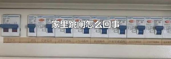 家里跳闸怎么回事