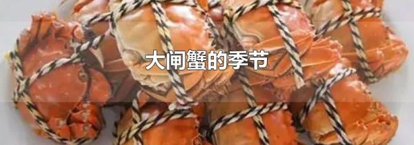 大闸蟹的季节