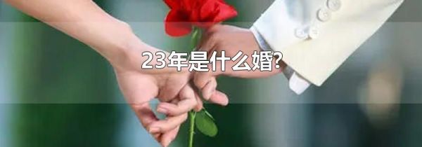 23年是什么婚?