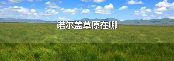 诺尔盖草原在哪