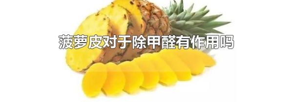 菠萝皮对于除甲醛有作用吗