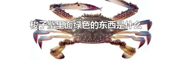 梭子蟹里面绿色的东西是什么