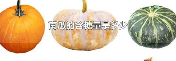 南瓜的含糖量是多少
