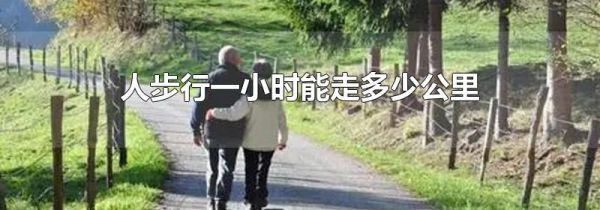 人步行一小时能走多少公里