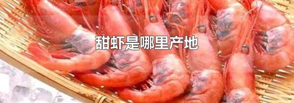 甜虾是哪里产地