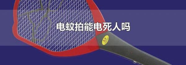 电蚊拍能电死人吗