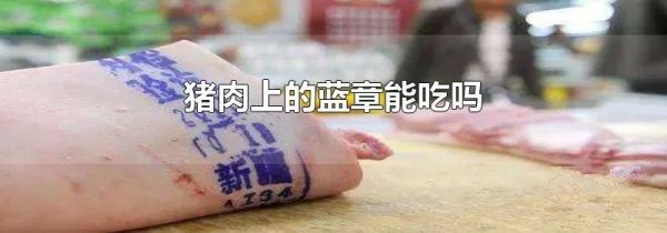 猪肉上的蓝章能吃吗