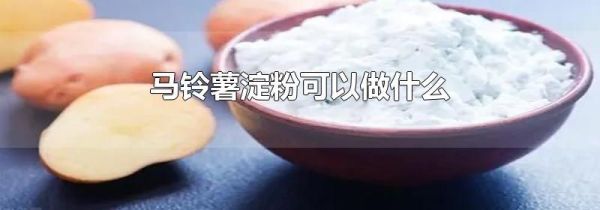 马铃薯淀粉可以做什么