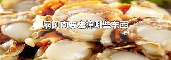 扇贝肉要去掉哪些东西