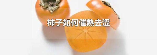 柿子如何催熟去涩