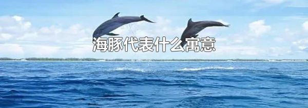 海豚代表什么寓意