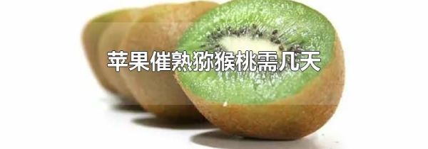 苹果催熟猕猴桃需几天