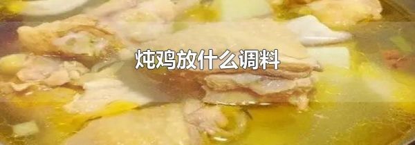 炖鸡放什么调料