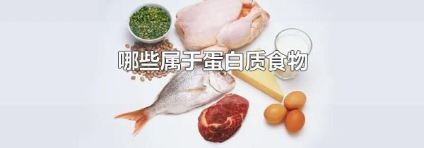 哪些属于蛋白质食物