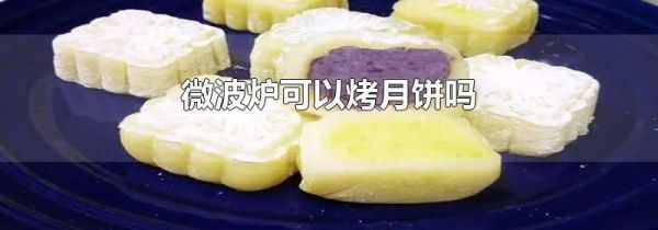微波炉可以烤月饼吗