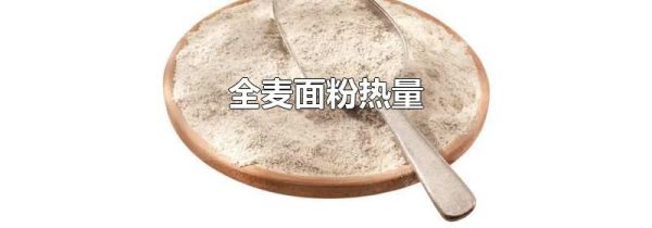 全麦面粉热量