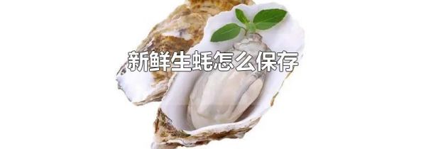 新鲜生蚝怎么保存