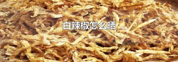 白辣椒怎么晒