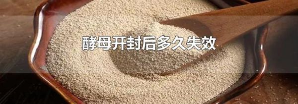 酵母开封后多久失效
