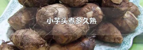 小芋头煮多久熟