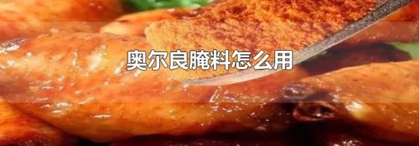 奥尔良腌料怎么用